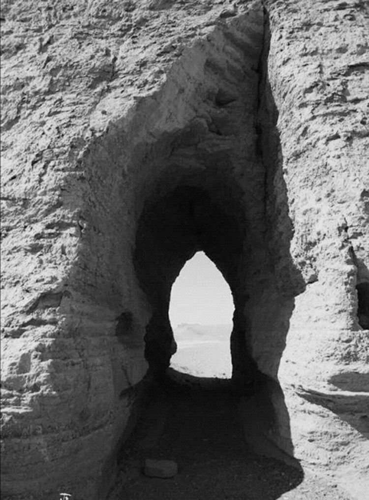 洛阳寿春小学,洛阳市寿春小学