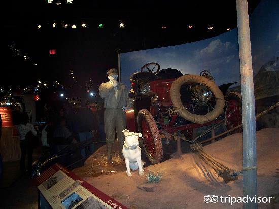 吃热狗挑战赛,吃热狗大赛热狗多重