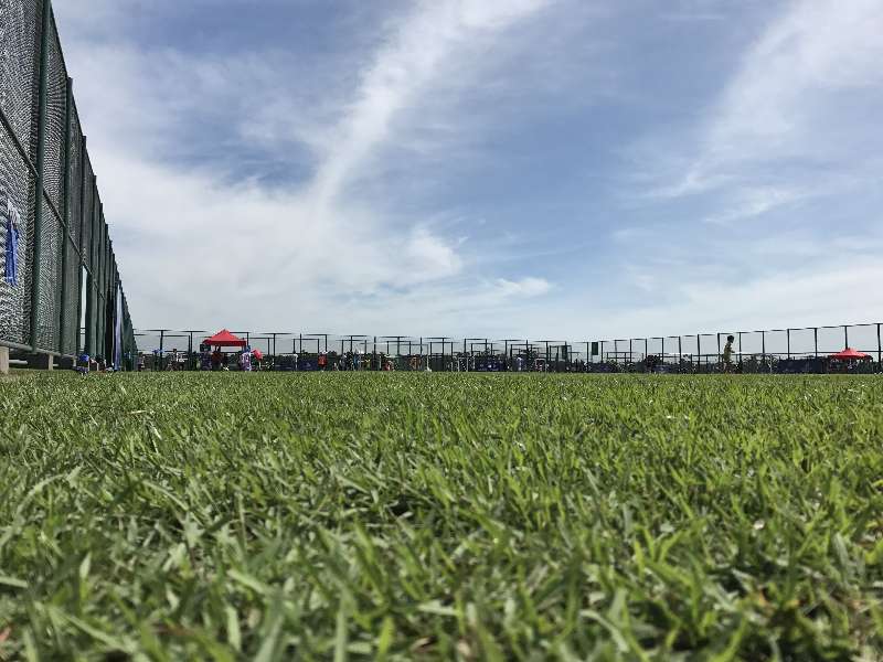 观澜湖高尔夫体验,观澜湖高尔夫球场赛事精彩瞬间