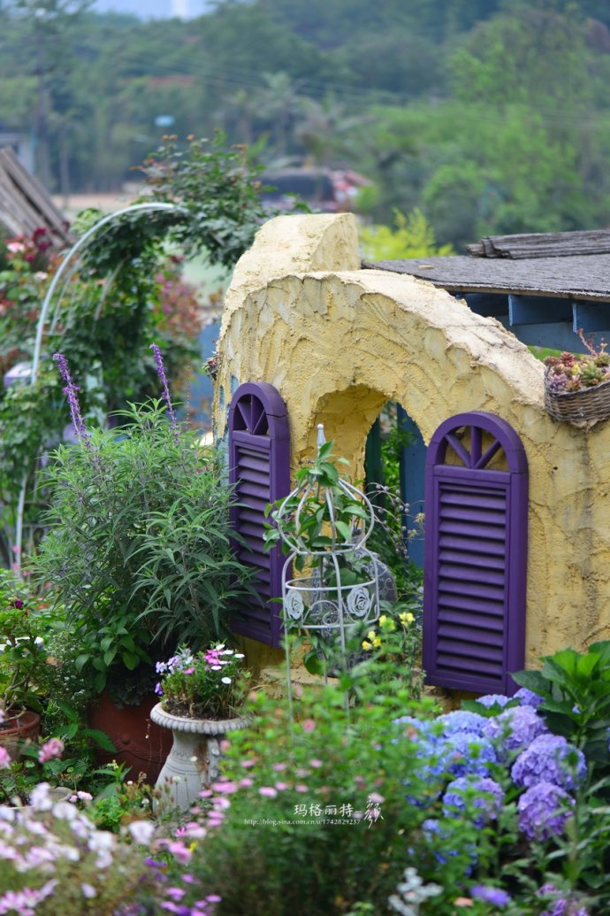 成都玛莉亚色彩花园,成都玛莉亚色彩花园电话
