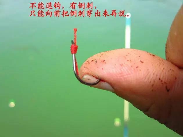 鱼钩倒刺刺进肉里怎么弄出来,有倒刺的鱼钩扎到肉如何取