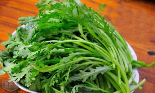 营养最丰富的十种绿叶蔬菜