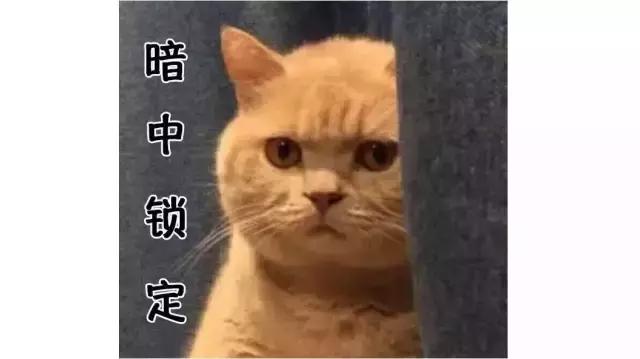 次世代潮流新据点丨来不及想标题,我要赶去开完就闪的「PUMA茶馆」