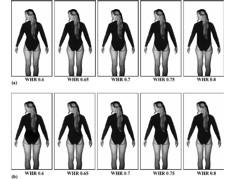 怎样的臀部是最完美的,臀部怎样才算完美