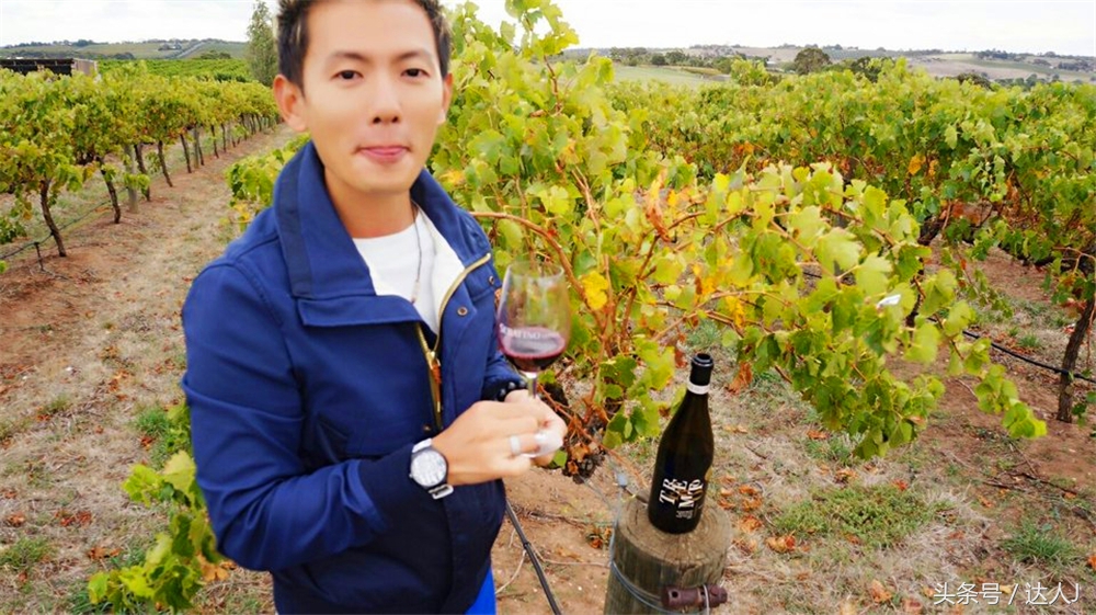 澳洲阿德莱德vs悉尼fc,阿德莱德对澳洲悉尼