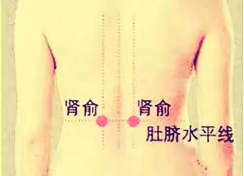 腰椎间盘突出反反复复腰痛怎么办,腰肌劳损腰疼和腰椎间盘突出