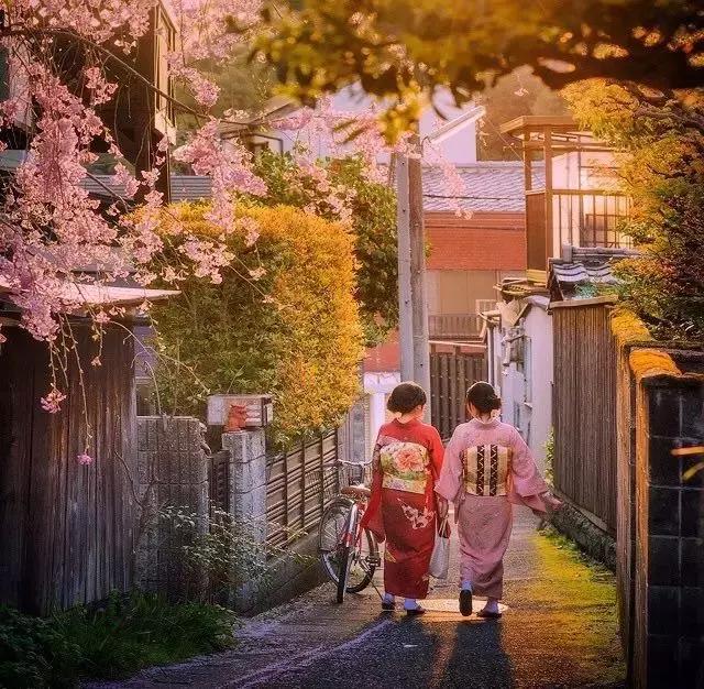 想去日本旅游是否有必要学日语,日语学习到什么程度可以旅游