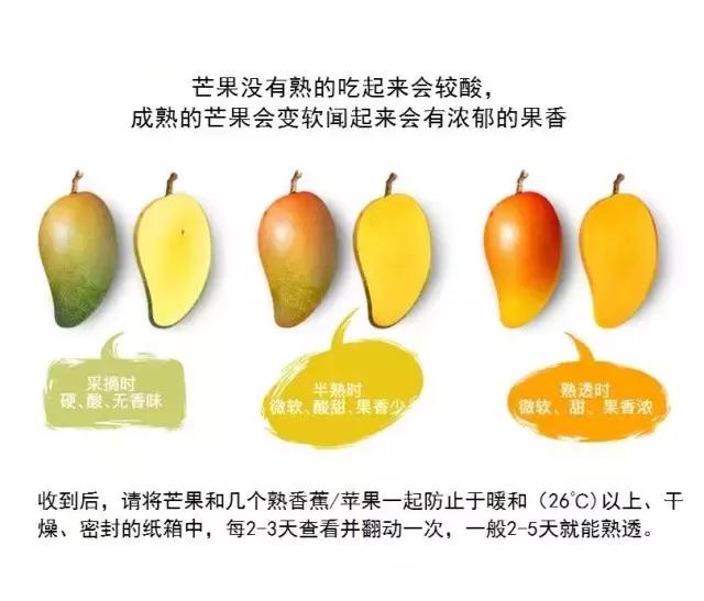 蔷薇水果店~“品控达人”的福音！