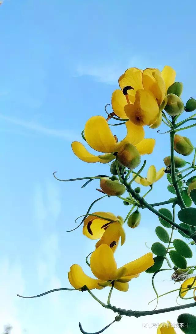 手机摄影作品实景,手机摄影作品展