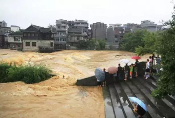 桌边社20170707：最完美的PP