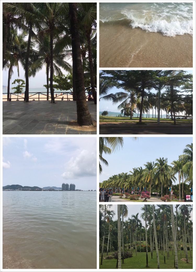 三亚自由行,三亚海鲜海旅