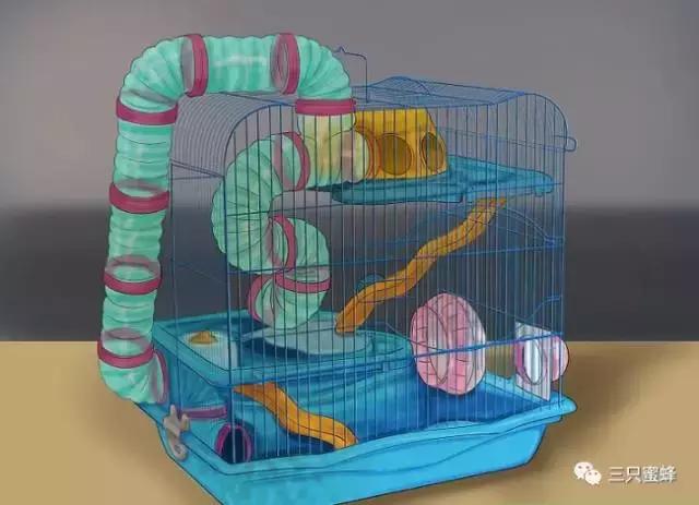 收下这份养发秘笈,收下这份避堵攻略