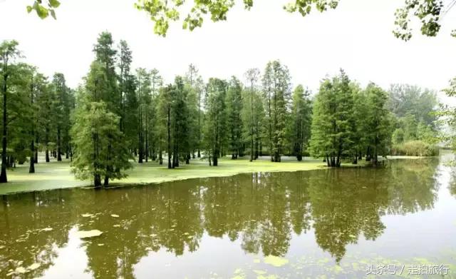 滁州游玩攻略潮玩街区,滁州最值得玩的地方