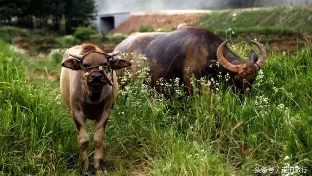 滁州游玩攻略潮玩街区,滁州最值得玩的地方