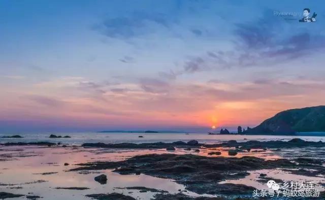 蚂蚁岛一日游,蚂蚁岛半日游