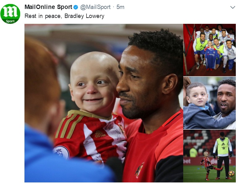 小布拉德利视频,小布拉德利