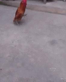 大爷，你这么率性洒脱，大妈知道吗？