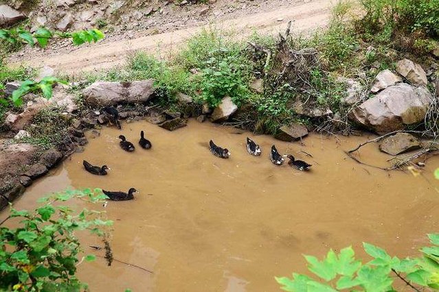 真实的云南农村,云南农村生活真实记录