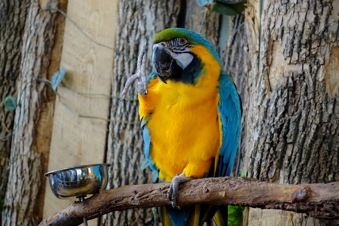 冬日里的安大略，冰雪奇趣一起嗨翻天