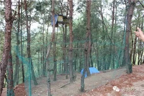 美食有一种情怀叫老味道,美食江湖情