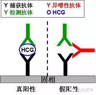 备孕检查孕酮和hcg的最佳时间,备孕你不知道的孕前注意事项