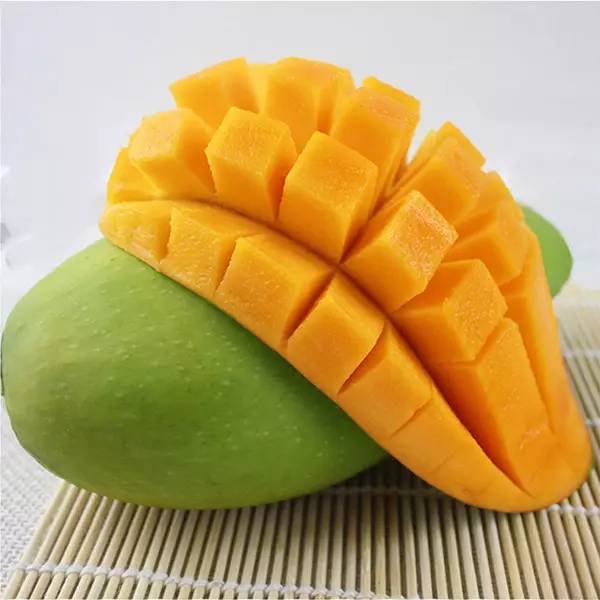 居然有人给芒果这种生物开世界大会,逼格升级,田东又要火上天啊!