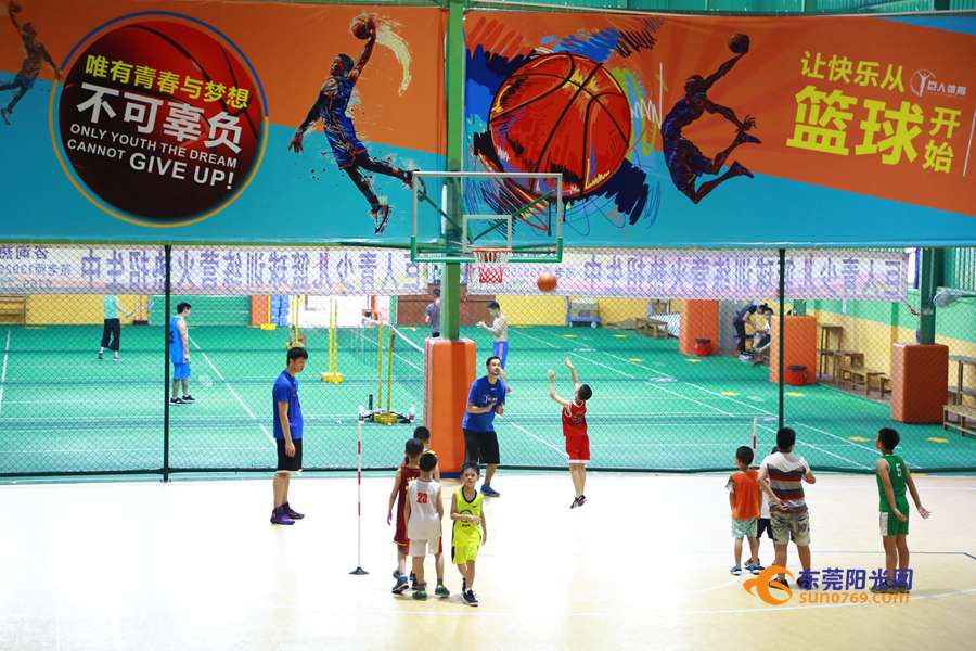 广东东莞篮球青训一年多少钱,东莞新世纪篮球青训队