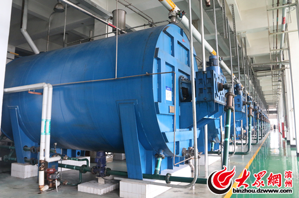 西王的结晶果糖,西王结晶果糖厂家