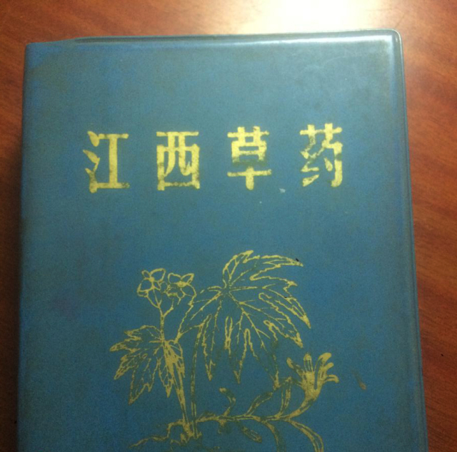 「百草园」那些“悬壶济世”的植物(十六)穿心莲