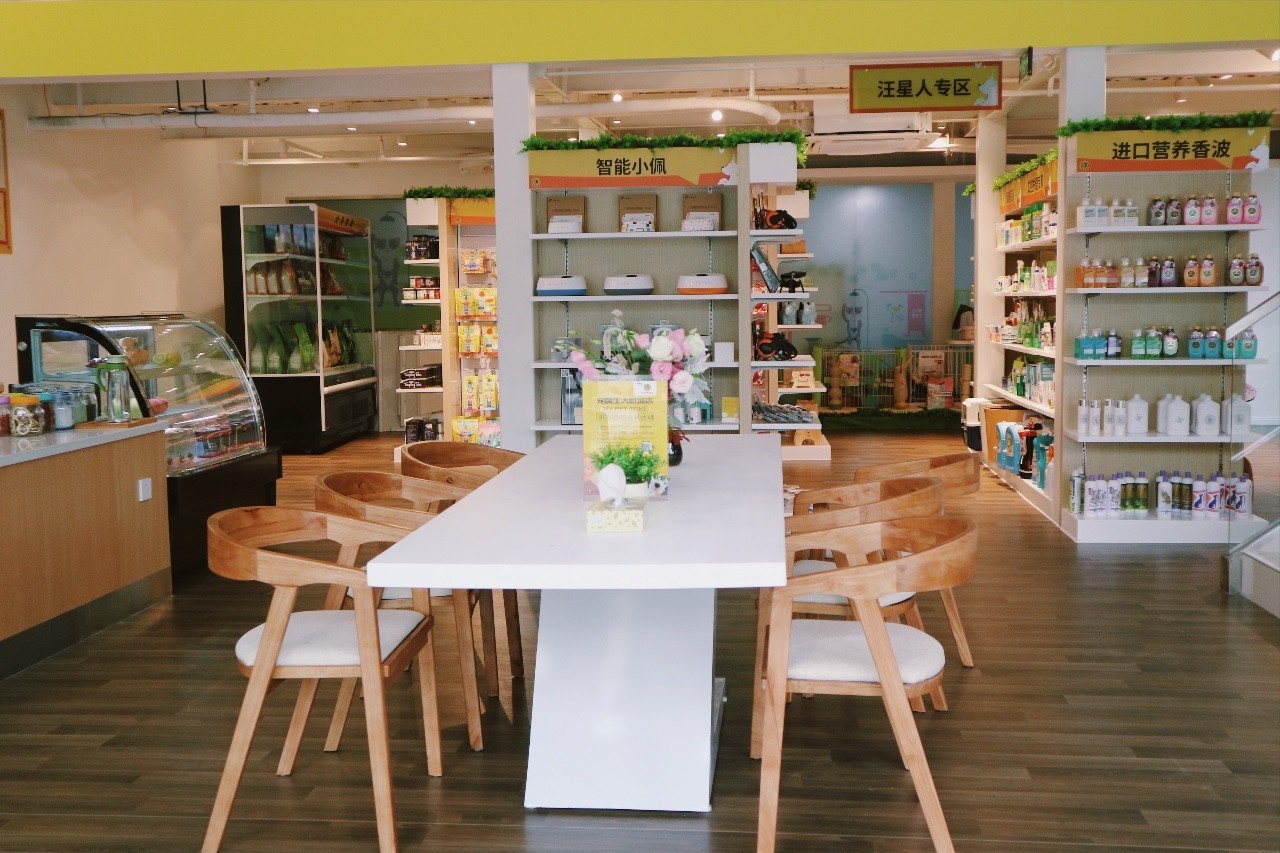 盘点十大网红萌宠,盘点全网6只网红萌宠