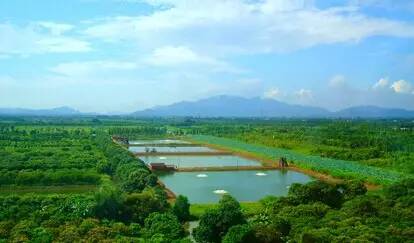 你知道哪些暴利的职业,你知道哪些暴利的小买卖