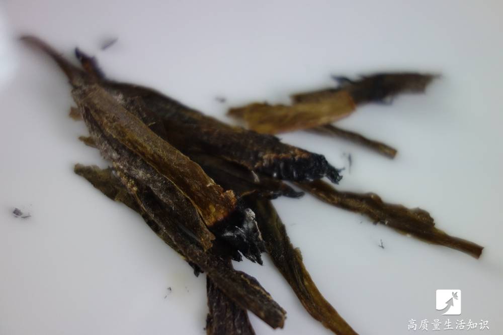 又可以驱蚊又可以变冷的风扇,生活小妙招用电风扇驱蚊