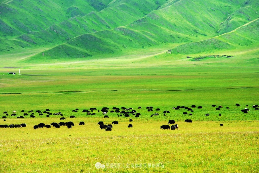 川西高原的真实照,高原天空之镜