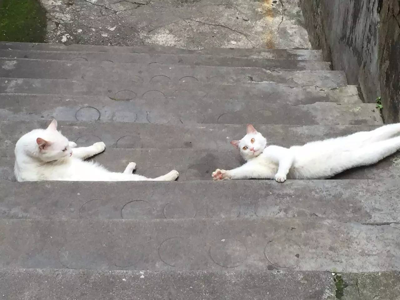 hèhè带你玩|中国的52处世界遗产你去过哪些?刚评上的这个地方,我去了四次!