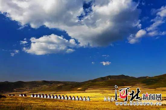 在燕赵大地续写绿色传奇