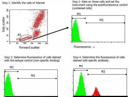 你这磨人的小妖精视频,你这磨人的小妖精下一句是什么呢