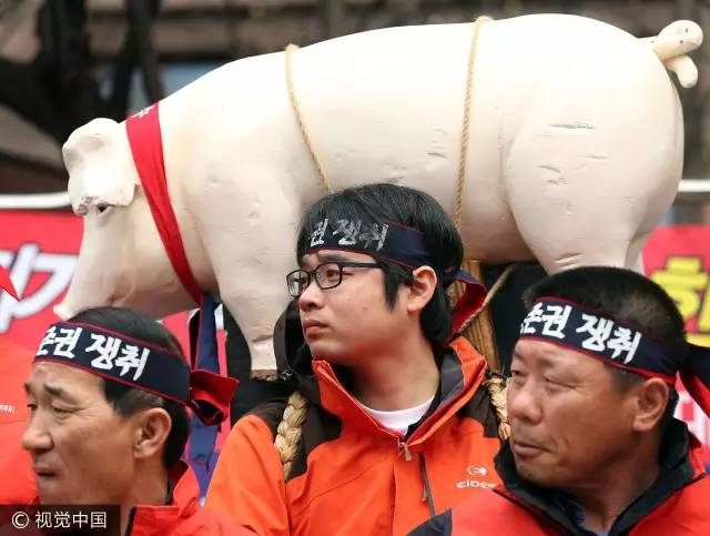 韩国人到底吃得起肉不,韩国人为啥吃不起肉