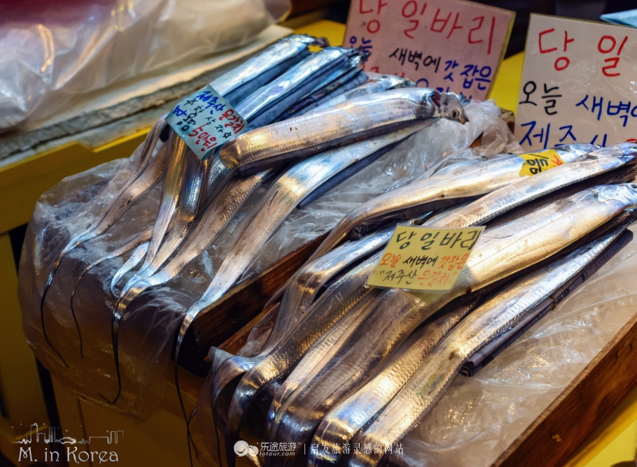 跟着RM探寻济州东门市场