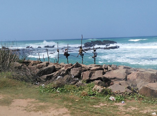 在斯里兰卡旅游必做的10件事,在斯里兰卡的难忘旅行经历