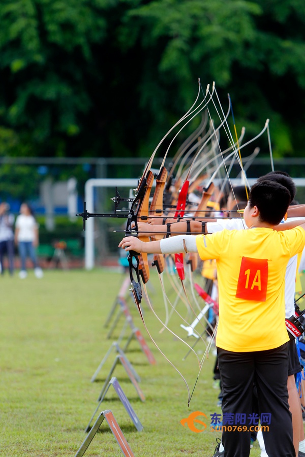 东莞第九届运动会,第九届东莞市市运会