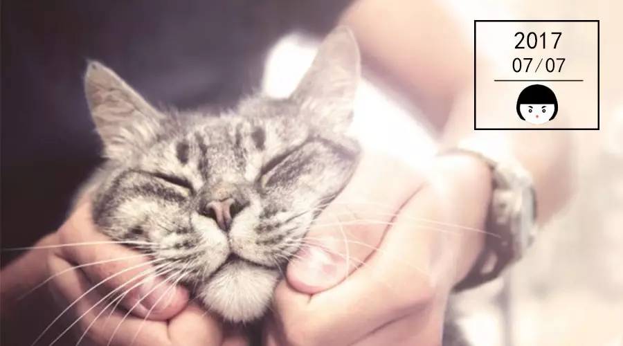 深唇色春夏适合的口红推荐大牌,适合浅唇色的春夏口红