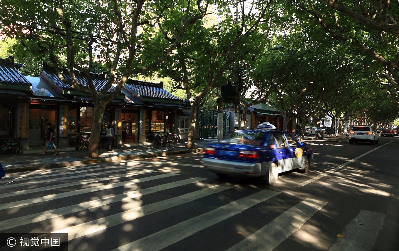 上海乘凉哪里好玩,上海周末乘凉地点排名前十