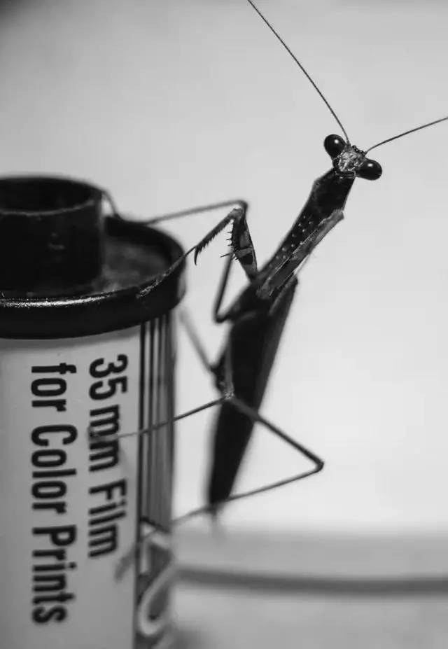 最近发生了很多事的说说,说说最近你身边发生的事吧