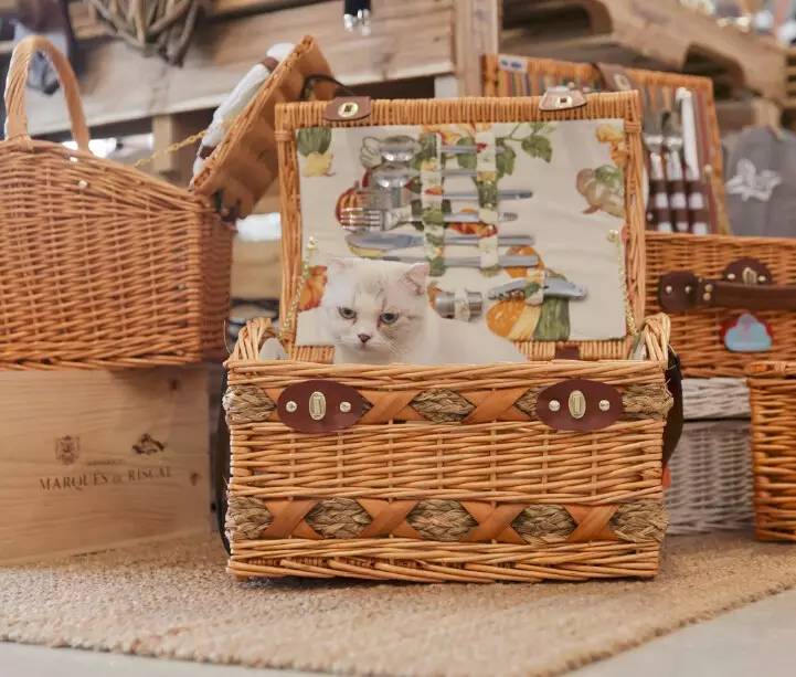 香港吃喝玩乐旅行攻略,香港跟团游有不去澳门的吗