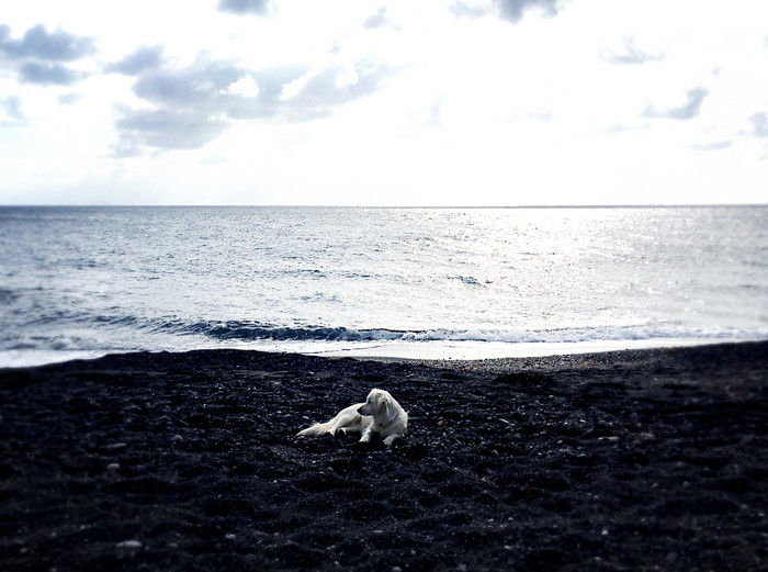 远离城市的喧嚣在静谧的时光里,远离城市的喧嚣静静的感受海浪