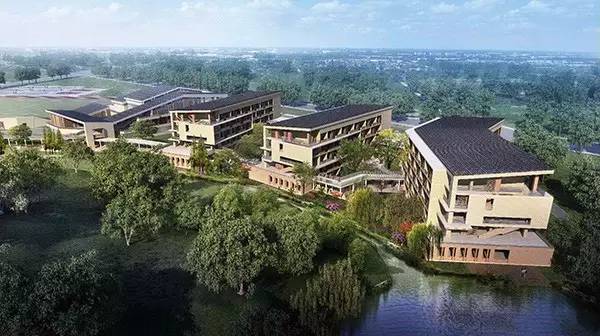 苏州新建6大学校即将上线招生，家长们注意了！