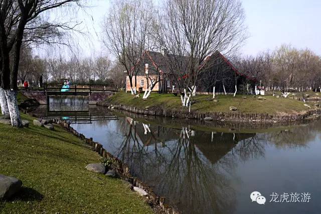 世界最美的郁金香花海,南京郁金香花海