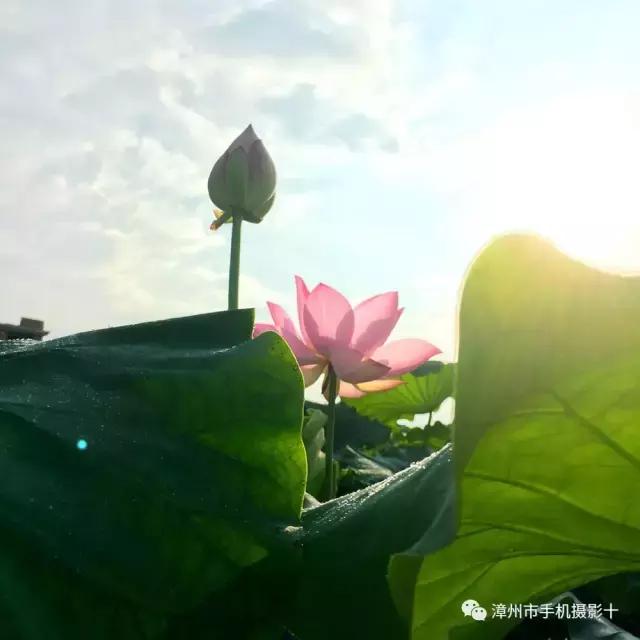 手机摄影作品实景,手机摄影作品展