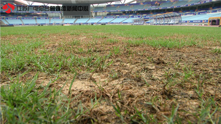 南京奥体中心篮球场被吐槽,南京奥体中心体育场为什么横开