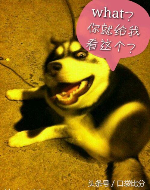 足球运动员的名字有哪些,足球运动员名字搞笑